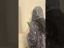 BEAS011 - Abaya Sari
