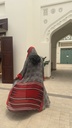 BEAS010 - Abaya Sari