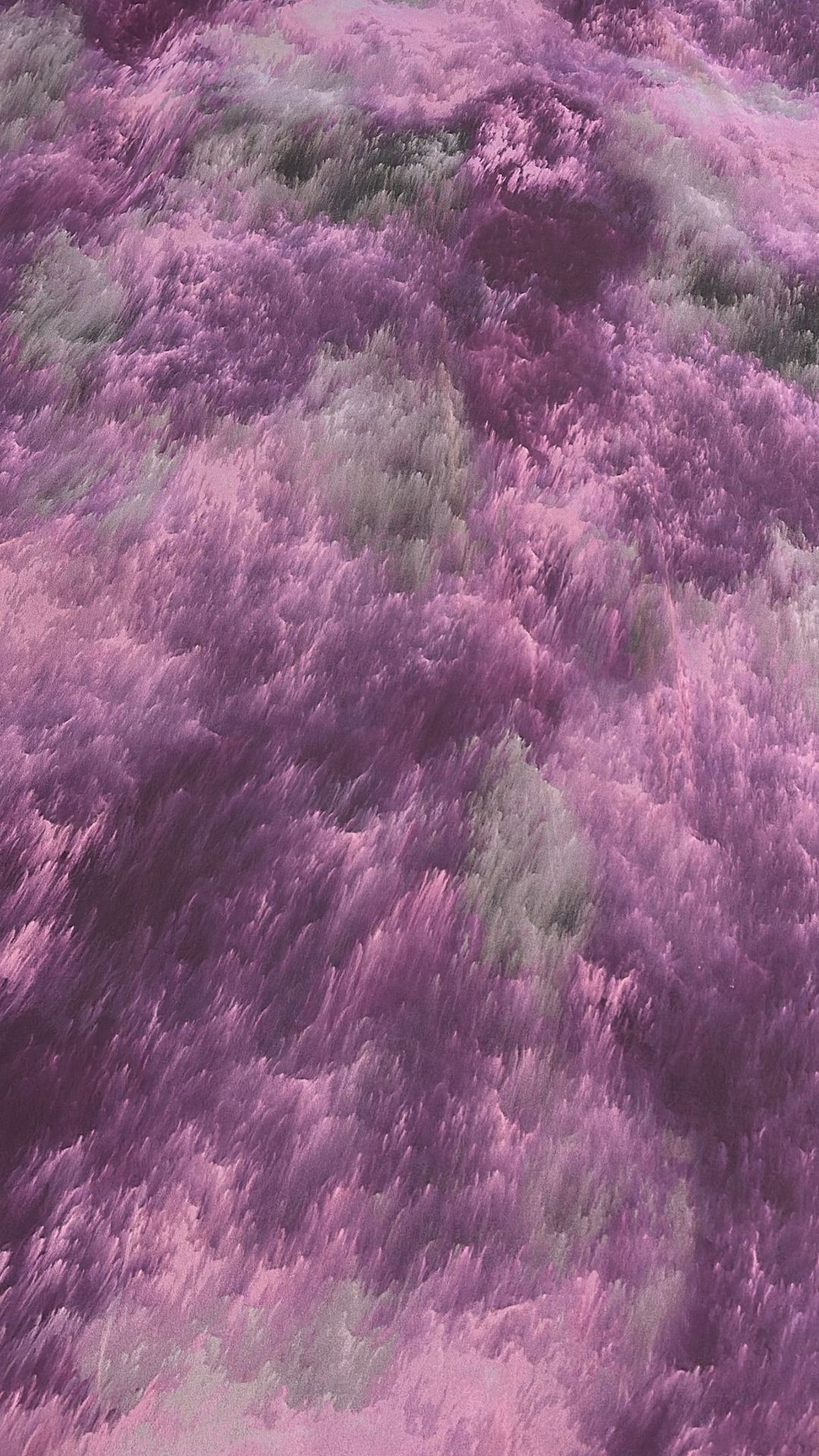 اللون: C-purple 7