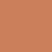 Colors_new: DUSTY ORANGE #77