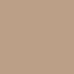 Colors_new: BEIGE DULL #74