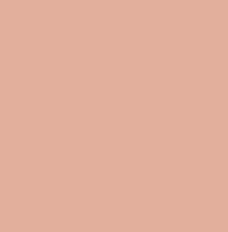 Colors_new: DUSTY PINK #55