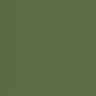 Colors_new: OLIVE GREEN #38