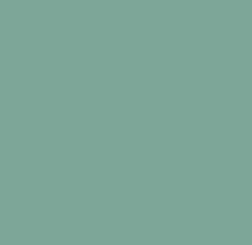 Colors_new: DUSTY MINT #73